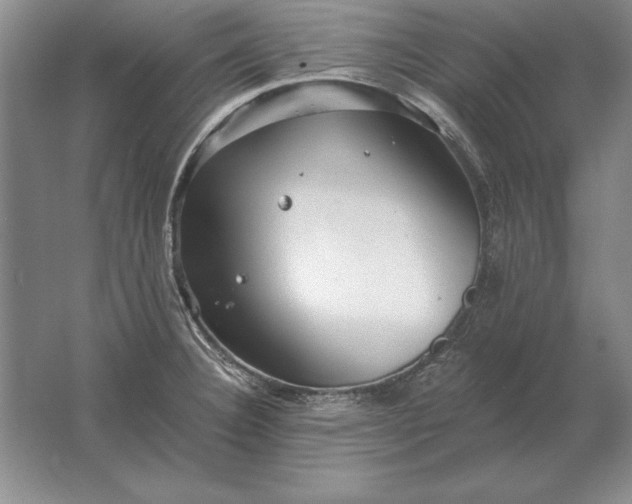 X0000061731332200512161612