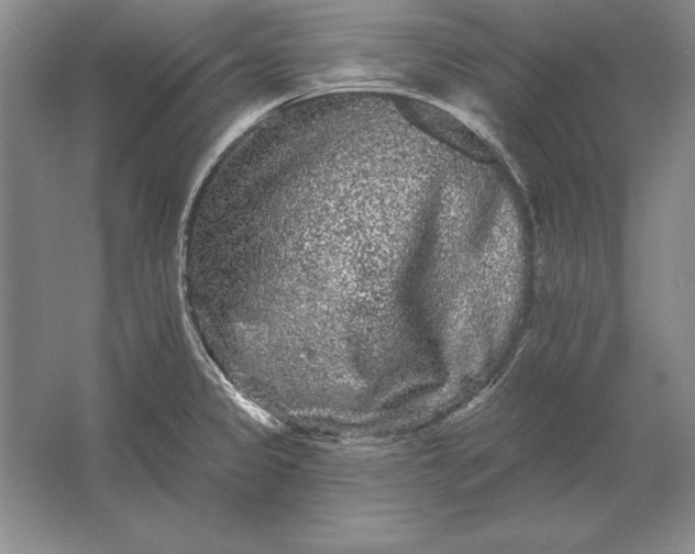 X0000061731333200512161612