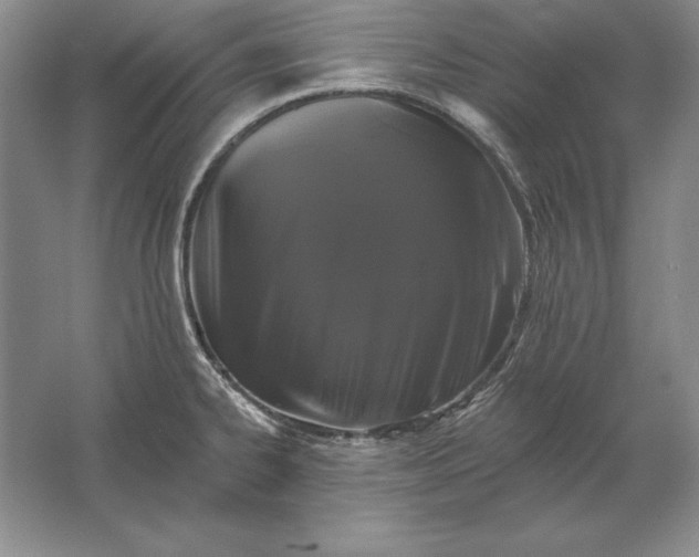 X0000061731334200512161612