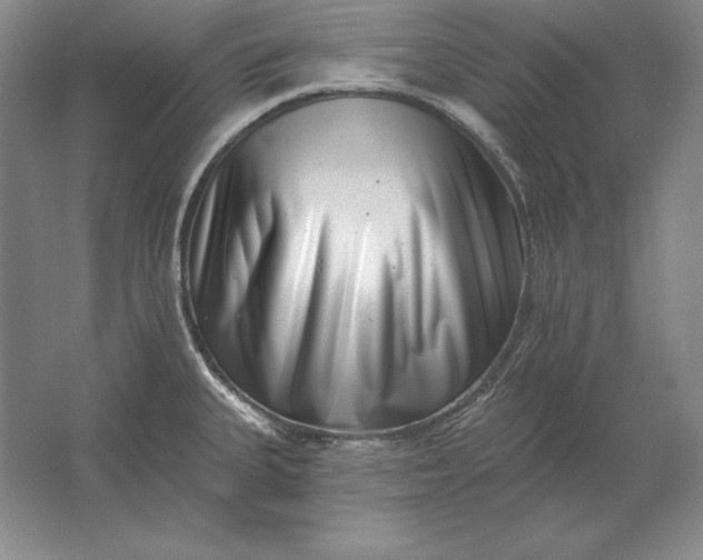 X0000061731335200512161612