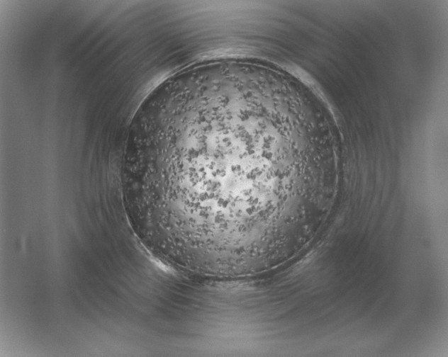 X0000061731337200512161612