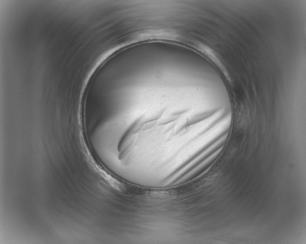 X0000061731339200512161612