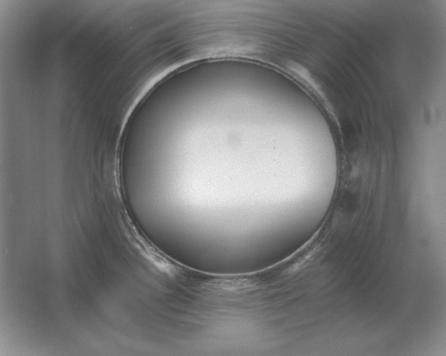 X0000061731340200512161612