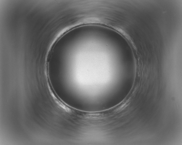 X0000061731342200512161612