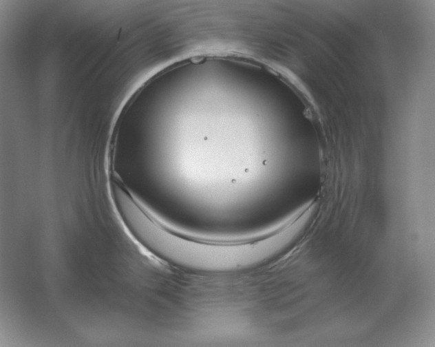 X0000061731343200512161612