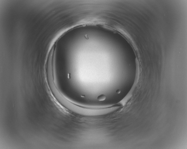 X0000061731344200512161612