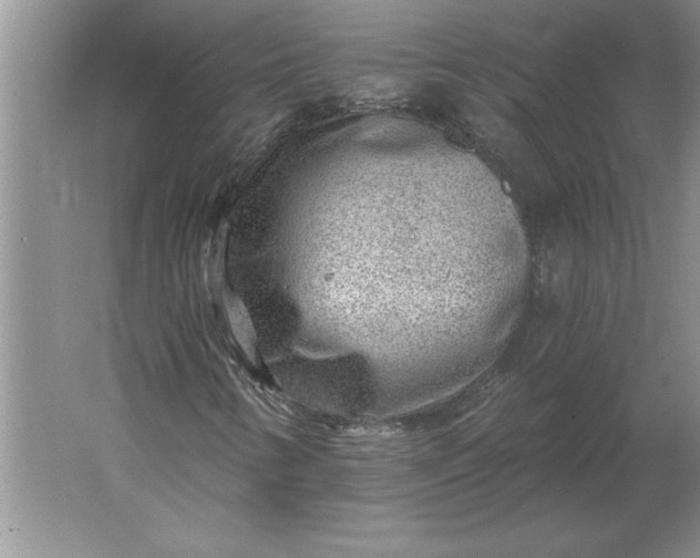 X0000061731346200512161611