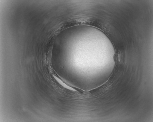 X0000061731347200512161611