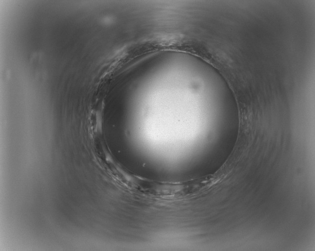 X0000061731349200512161611