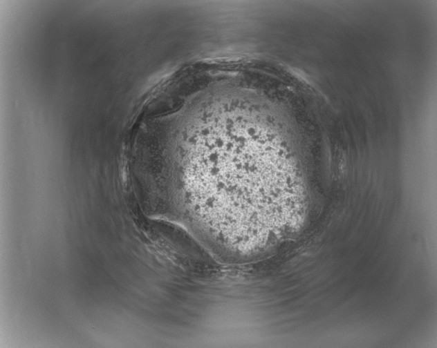 X0000061731350200512161611