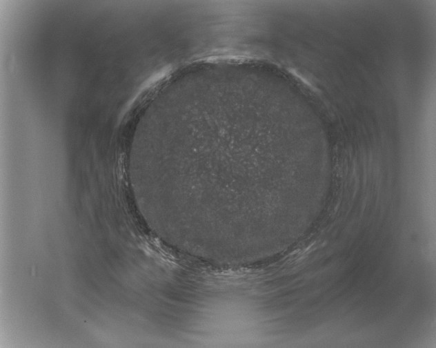 X0000061731351200512161611