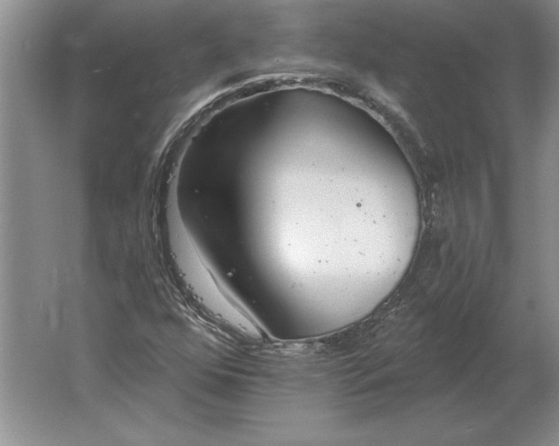 X0000061731352200512161611