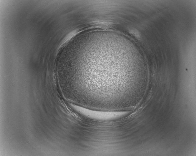 X0000061731354200512161611