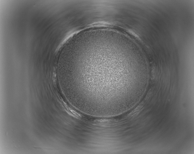 X0000061731355200512161611