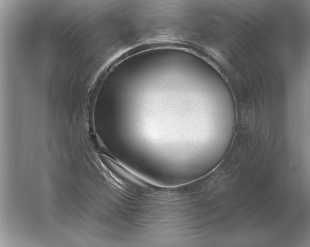 X0000061731356200512161611