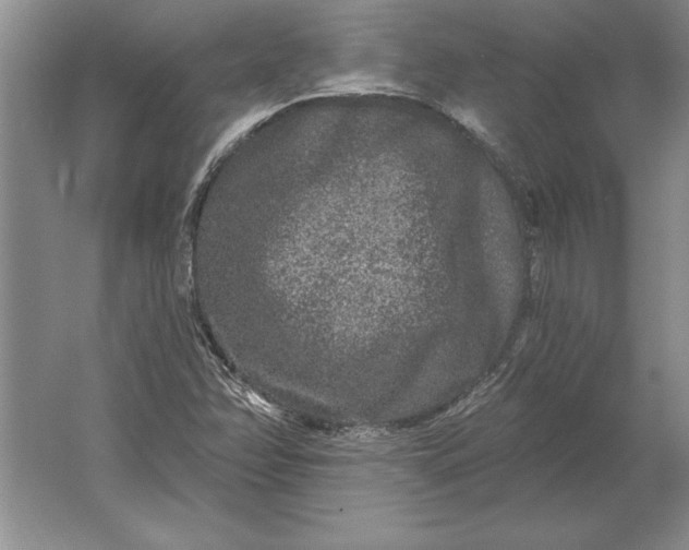 X0000061731358200512161611