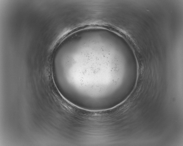 X0000061731359200512161611