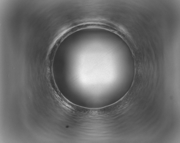 X0000061731360200512161611