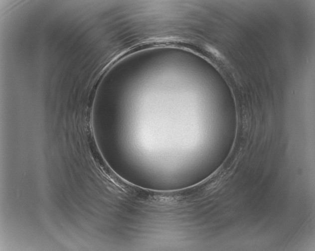 X0000061731361200512161611