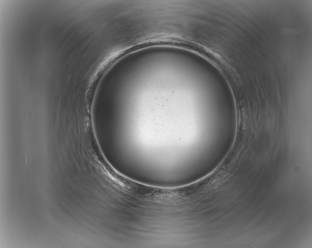 X0000061731363200512161611