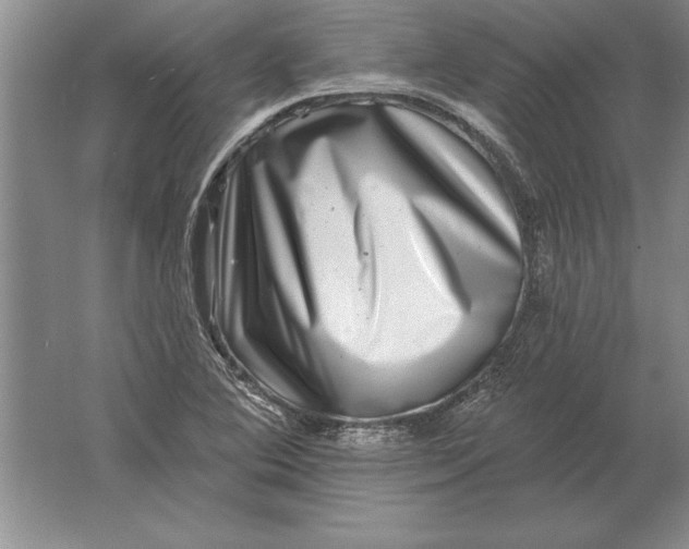 X0000061731364200512161611