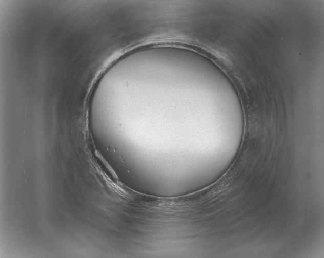 X0000061731366200512161611