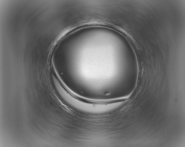 X0000061731367200512161611