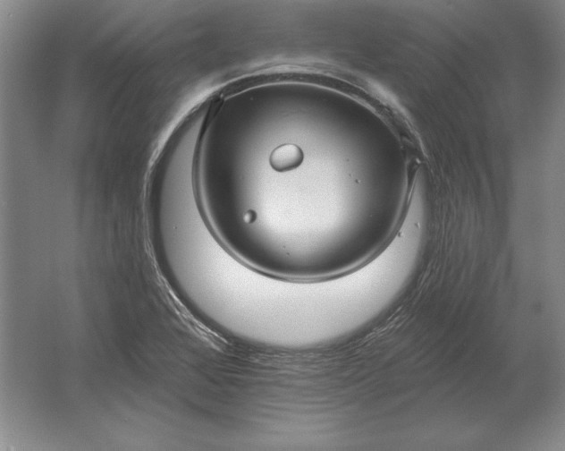 X0000061731368200512161611