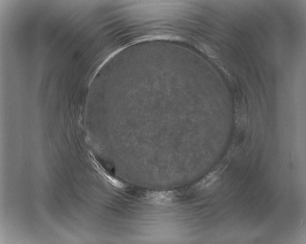 X0000061731369200512161611