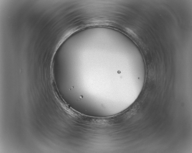 X0000061731370200512161611