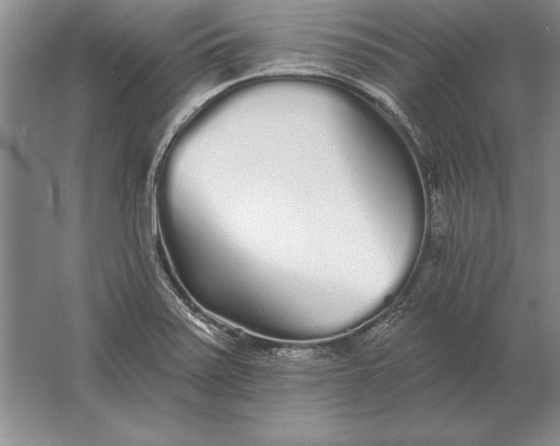 X0000061731371200512161611