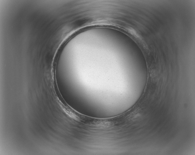 X0000061731372200512161611