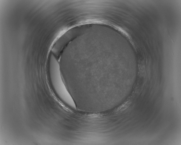 X0000061731373200512161610