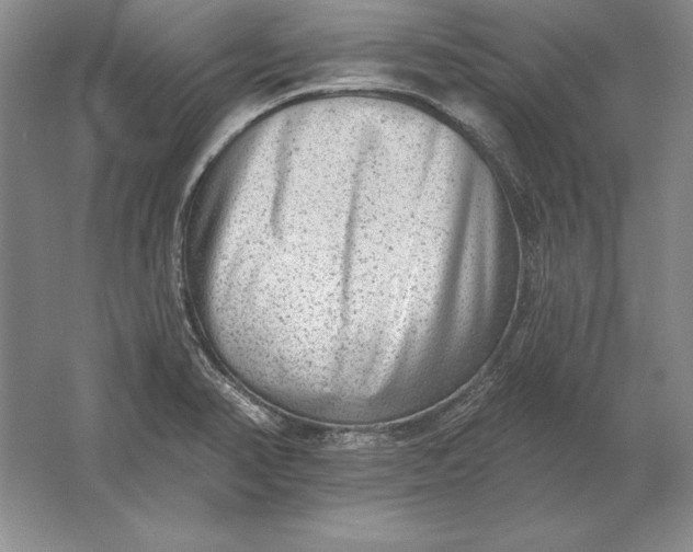 X0000061731374200512161610