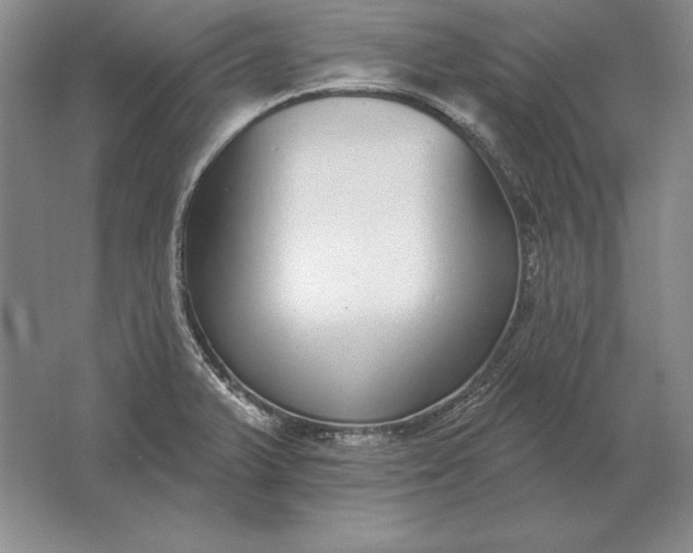 X0000061731375200512161610