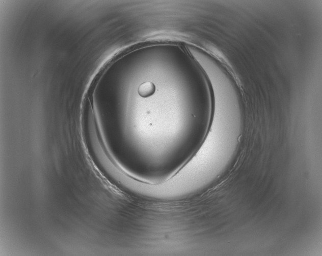 X0000061731376200512161610