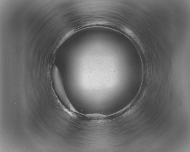 X0000061731377200512161610