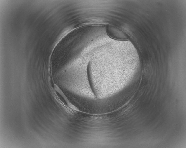 X0000061731378200512161610