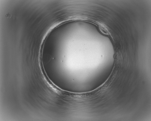 X0000061731379200512161610