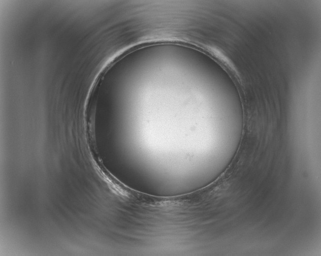 X0000061731380200512161610