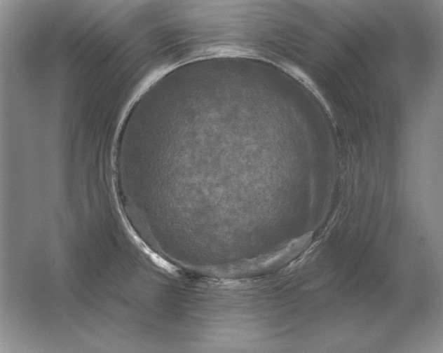 X0000061731381200512161610