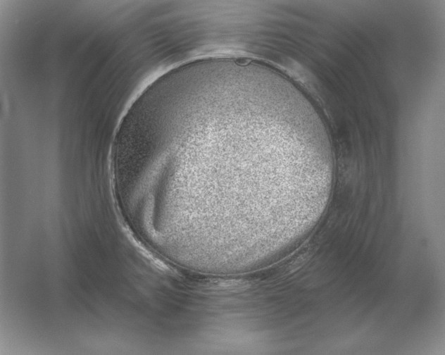 X0000061731382200512161610