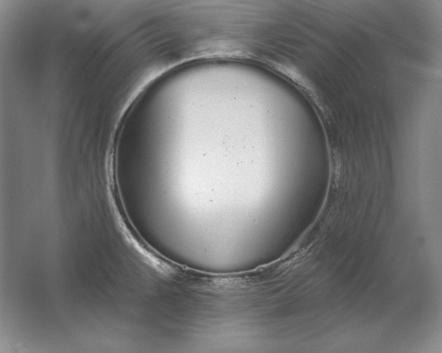 X0000061731383200512161610