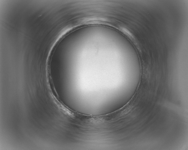 X0000061731384200512161610