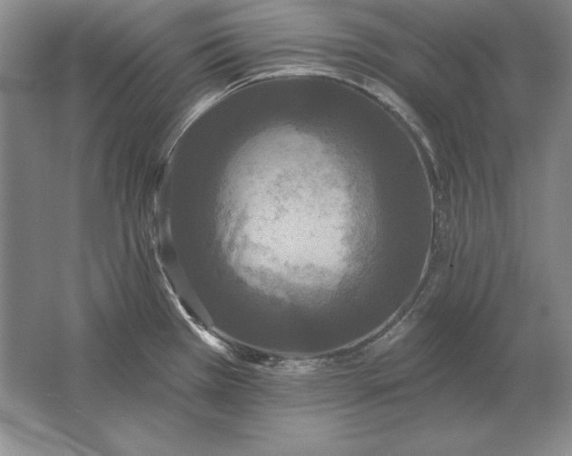 X0000061731385200512161610