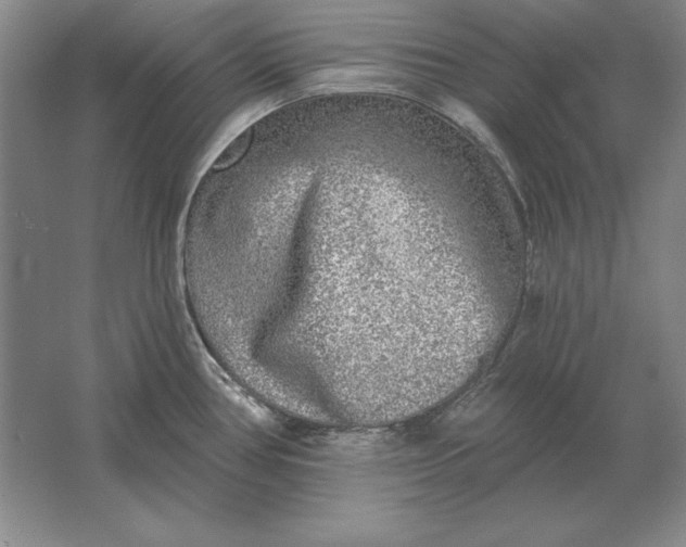 X0000061731386200512161610