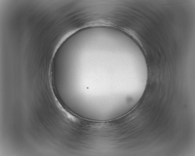 X0000061731387200512161610