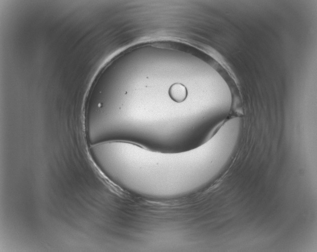 X0000061731388200512161610