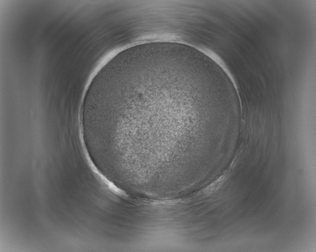 X0000061731389200512161610