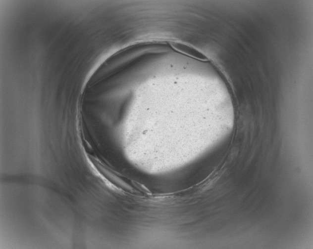 X0000061731390200512161610